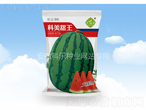 科美甜王-科樂種業(yè)