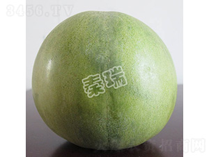 凌甜寶玉-甜瓜種子-秦瑞