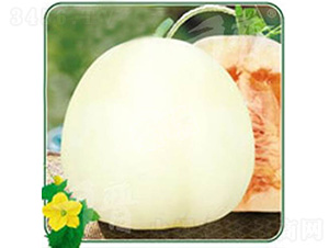 雪蜜二號(hào)-甜瓜種子-秦瑞