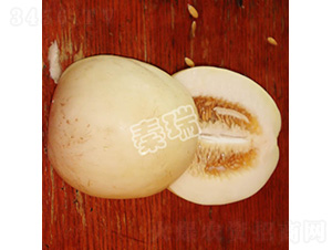 雪蜜一號(hào)-甜瓜種子-秦瑞