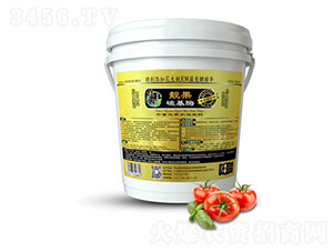 ЙC|(zh)̼ø-r(nng)I(y)