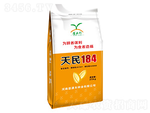 小麥種子25kg-天民184-華青農(nóng)業(yè)
