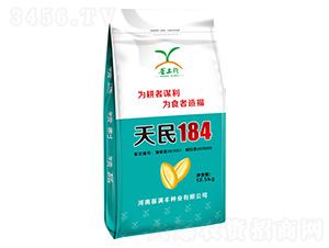 小麥種子-天民184-華青農(nóng)業(yè)