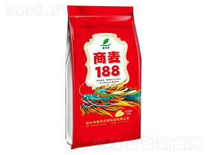 商麥188-小麥種子-常青農(nóng)貿(mào)