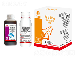 xQ-tf-l(xing)弾L(fng)-˹r(nng) 