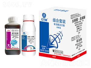 xQ-Mb-tf-l(xing)弾L(fng)-˹r(nng) 