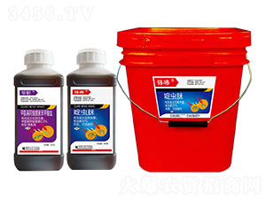 20%x-Ì-l(xing)弾L(fng)-˹r(nng) 