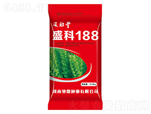 盛科188(12.5kg)-小麥種子-馳鼎種業(yè)