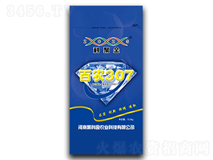 百農(nóng)307小麥種子-科聚金-聚科園農(nóng)業(yè)