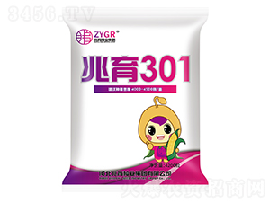 兆育301-玉米種子-兆育種業(yè)