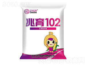 兆育102-玉米種子-兆育種業(yè)