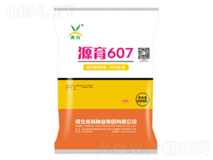 源育607-玉米種子-兆育種業(yè)