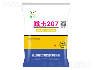蠡玉207-玉米種子-兆育種業(yè)
