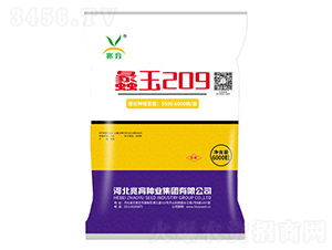 蠡玉209-玉米種子-兆育種業(yè)