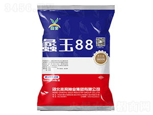 蠡玉88-玉米種子-兆育種業(yè)