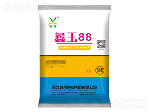 蠡玉88玉米種子-兆育種業(yè)