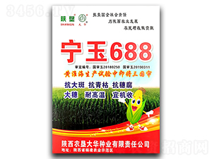 寧玉688-玉米種子-陜墾大華