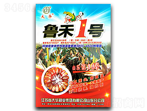 魯禾1號-玉米種子-陜墾大華