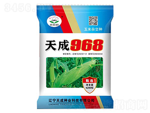 玉米種子-天成968-農哈哈-天成種業(yè)