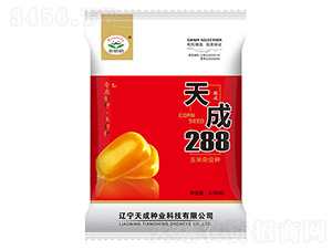 玉米種子-天成288-農哈哈-天成種業(yè)