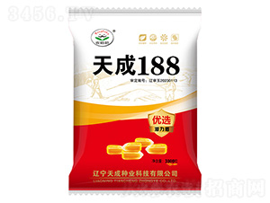 玉米種子-天成188-農哈哈-天成種業(yè)