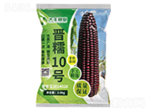 晉糯10號-玉米種子-大豐種業(yè)