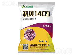 科貝1409-玉米種子-大豐種業(yè)