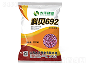 科貝692-玉米種子-大豐種業(yè)