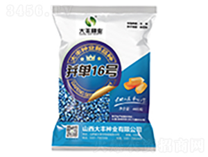 并單16號-玉米種子-大豐種業(yè)