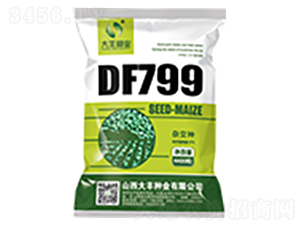 DF799-玉米種子-大豐種業(yè)