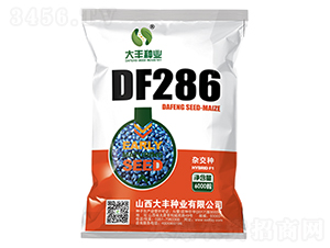 DF286-玉米種子-大豐種業(yè)
