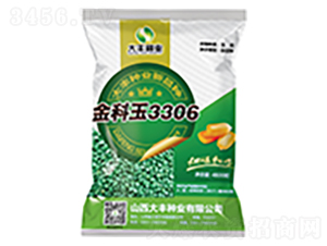 金科玉3306-玉米種子-大豐種業(yè)