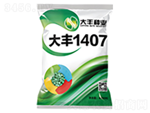 大豐1407-玉米種子-大豐種業(yè)