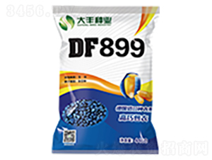 DF899-玉米種子-大豐種業(yè)
