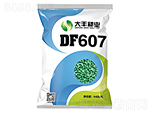 DF607-玉米種子-大豐種業(yè)