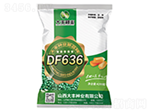 DF636-玉米種子-大豐種業(yè)