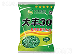 大豐30-玉米種子-大豐種業(yè)
