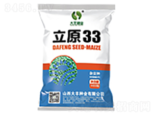 立原33-玉米種子-大豐種業(yè)