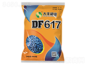 DF617-玉米種子-大豐種業(yè)