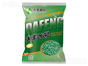 大豐26號-玉米種子-大豐種業(yè)