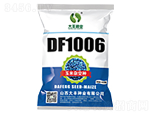 DF1006-玉米種子-大豐種業(yè)