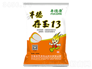 豐德存玉13-玉米種子-豐德康