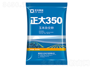 正大350-玉米種子-正大種業(yè)