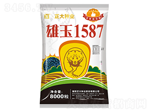 雄玉1587-玉米種子-正大種業(yè)