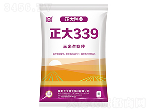 正大339-玉米種子-正大種業(yè)