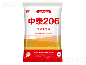 中泰206-玉米種子-正大種業(yè)