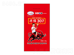 華偉307小麥種子-豐民種子