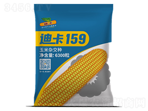 迪卡159-玉米種子