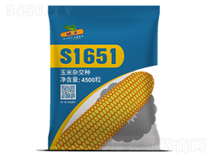 S1651-玉米種子