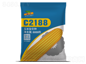 C2188-玉米種子